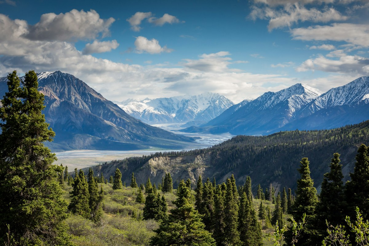 Mountain valley with evergreen forest beneath a blue sky