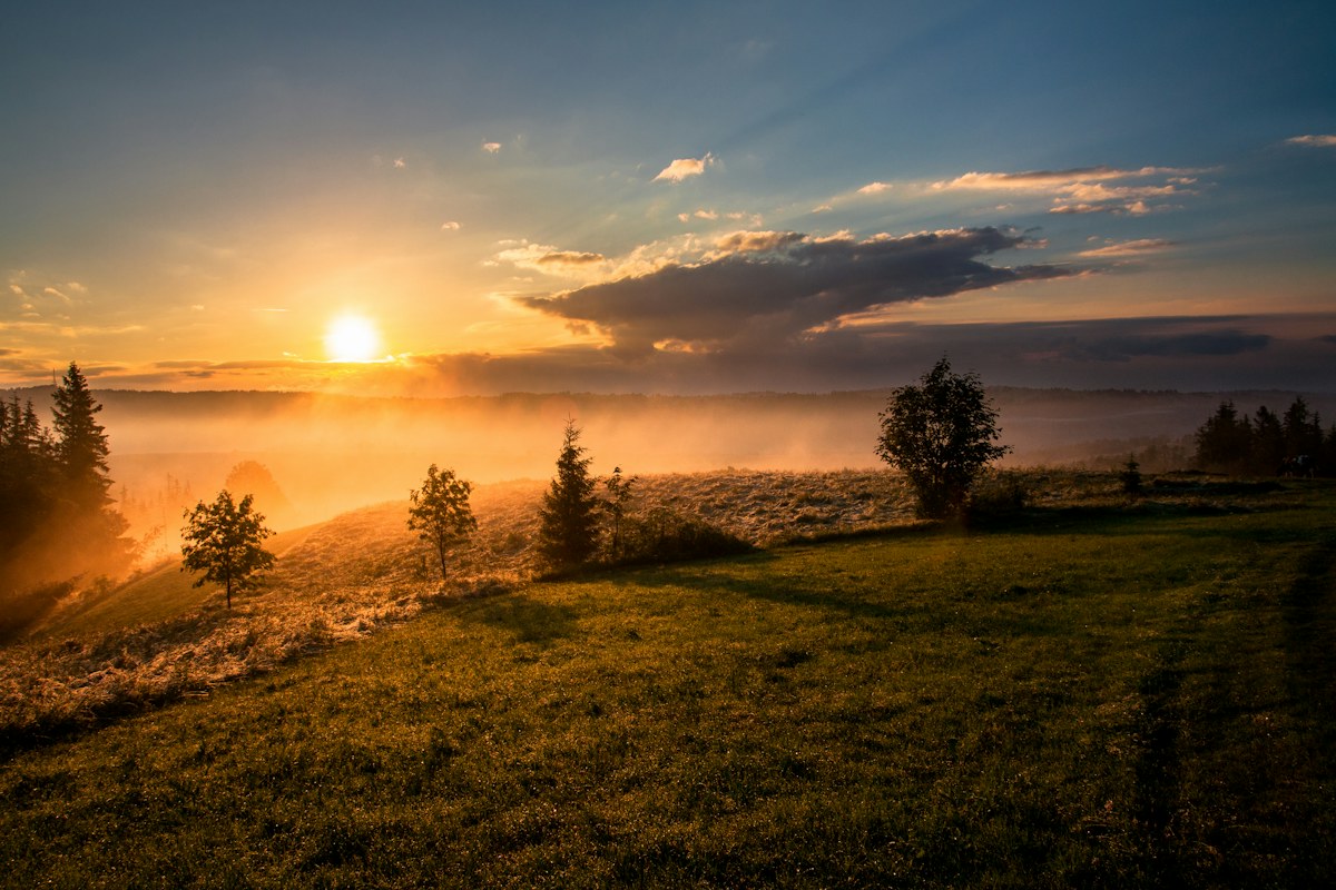 Soft sunrise light over a misty hillside